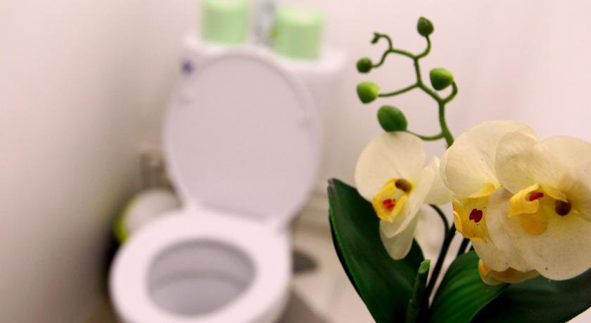 Гостиница Green Hostel Симферополь-17